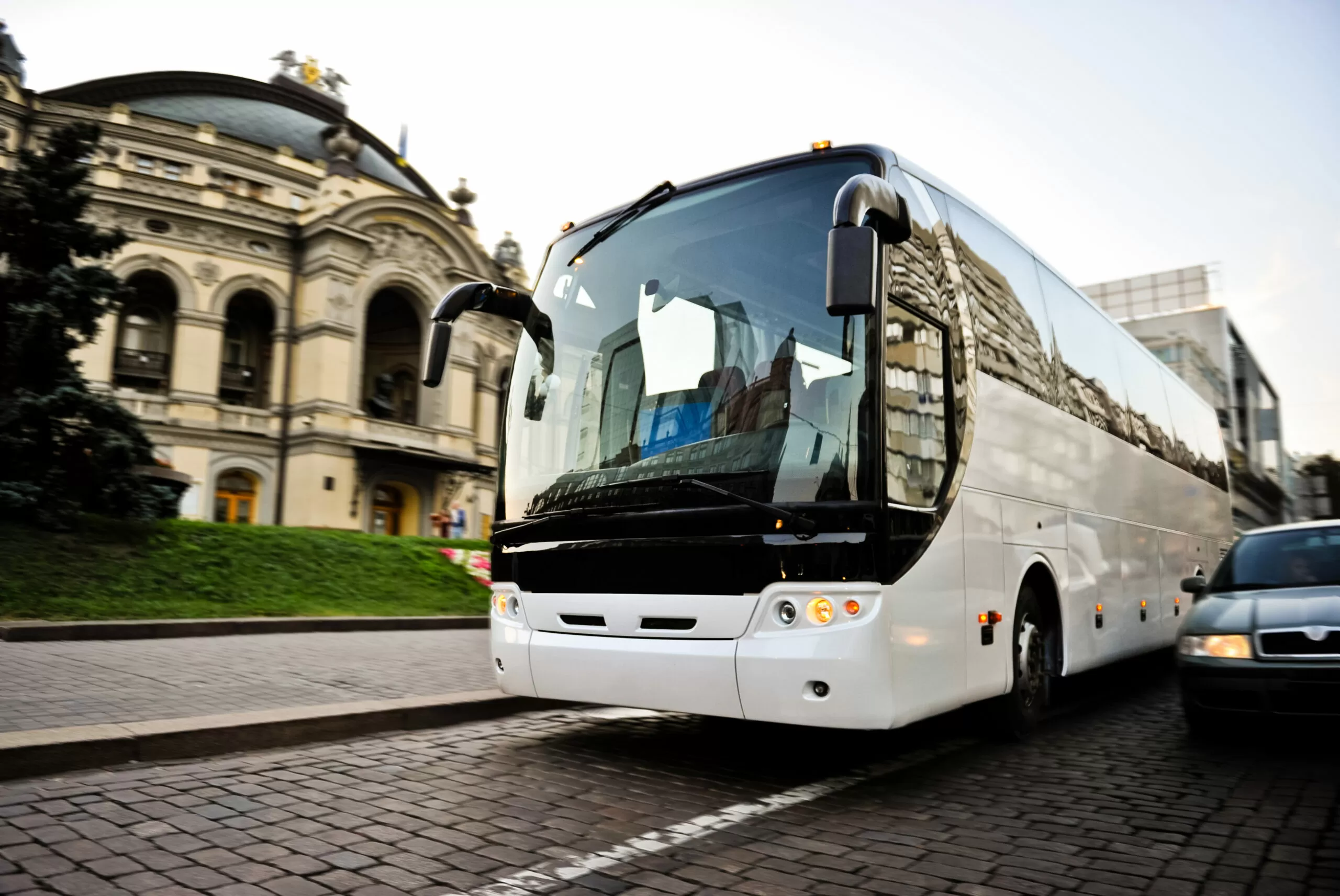 White,Bus,On,The,Road